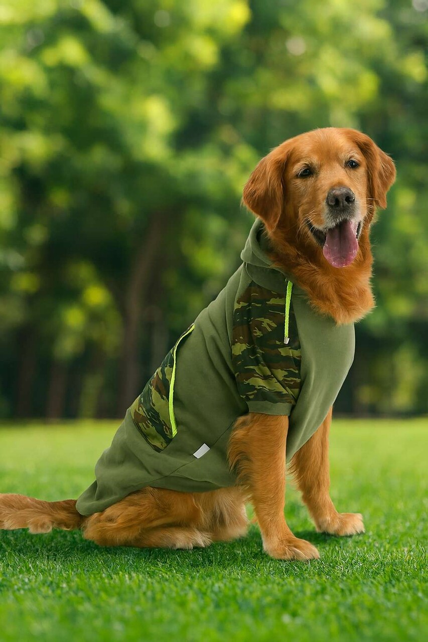 Hanorac pentru câini, Paws &amp; Whiskers, Askersweat, Kaki - imagine 5